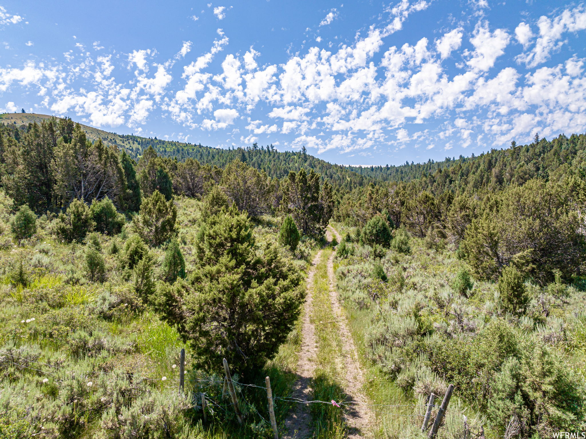 Land, Lava Hot Springs, Idaho image 7