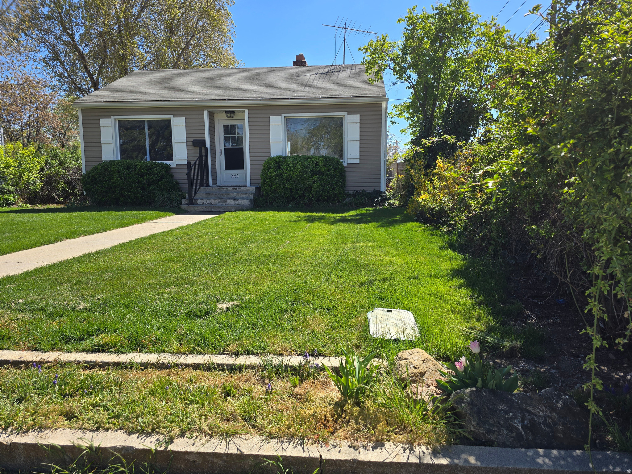 Main image without alt text