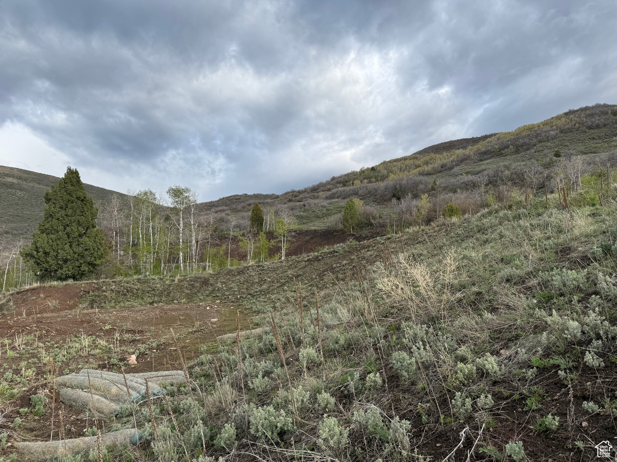 RANCH SUBDIVISION - Land