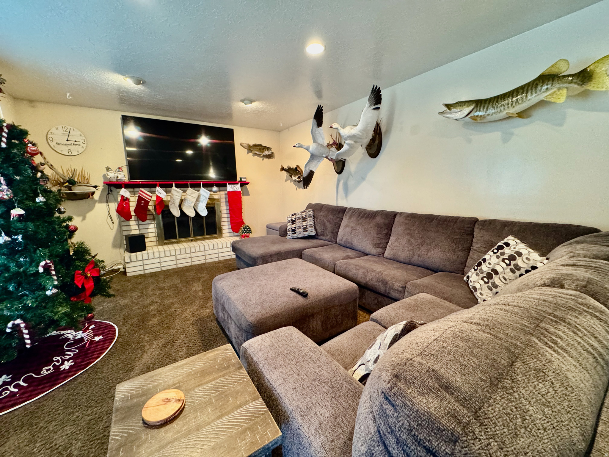 TERRY ESTATES SUBDIV - Residential