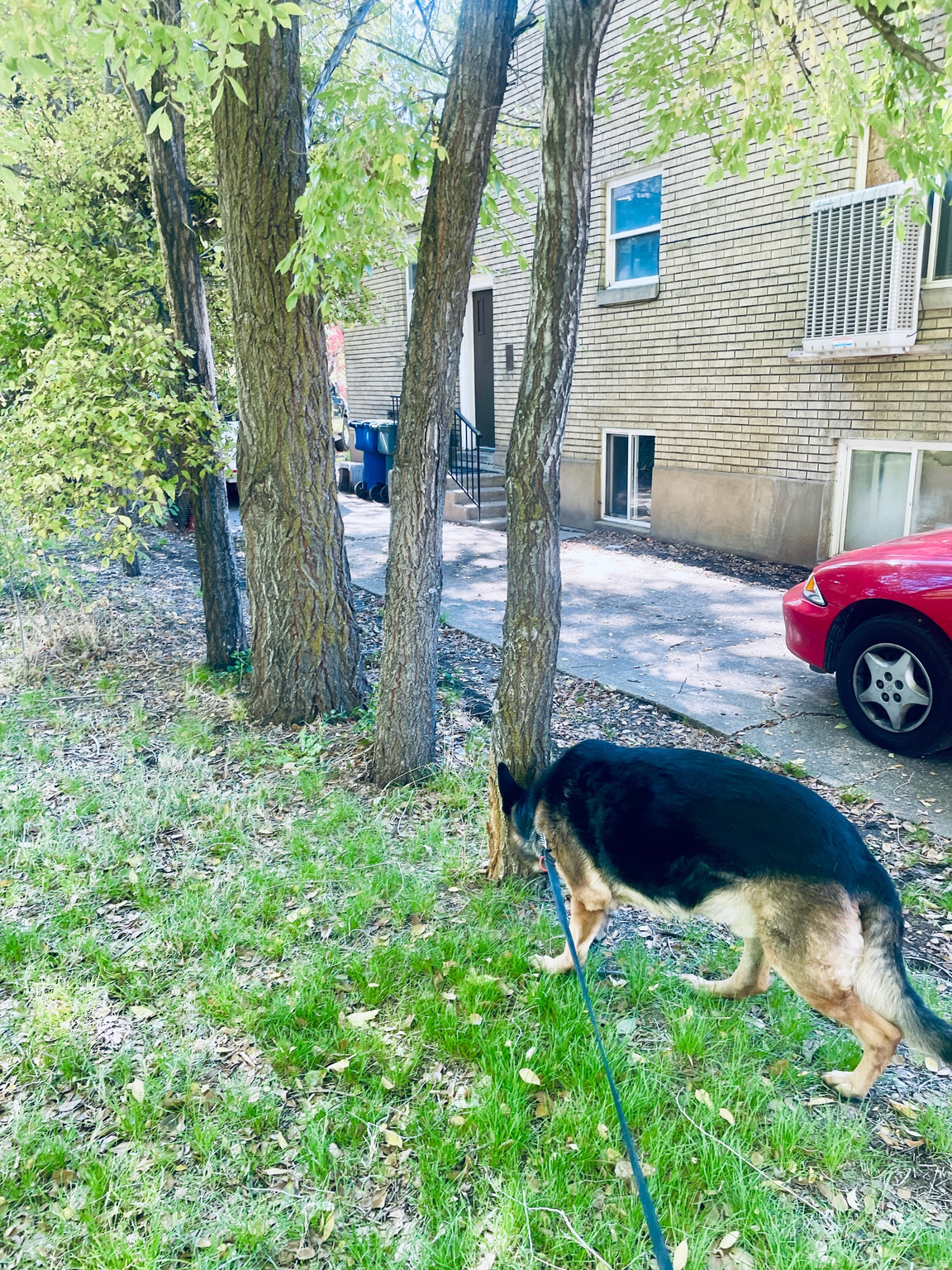 PLAT B OGDEN CITY SURVEY - Residential Income