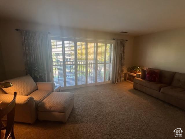 HIDDEN LAKE CONDOM - Residential