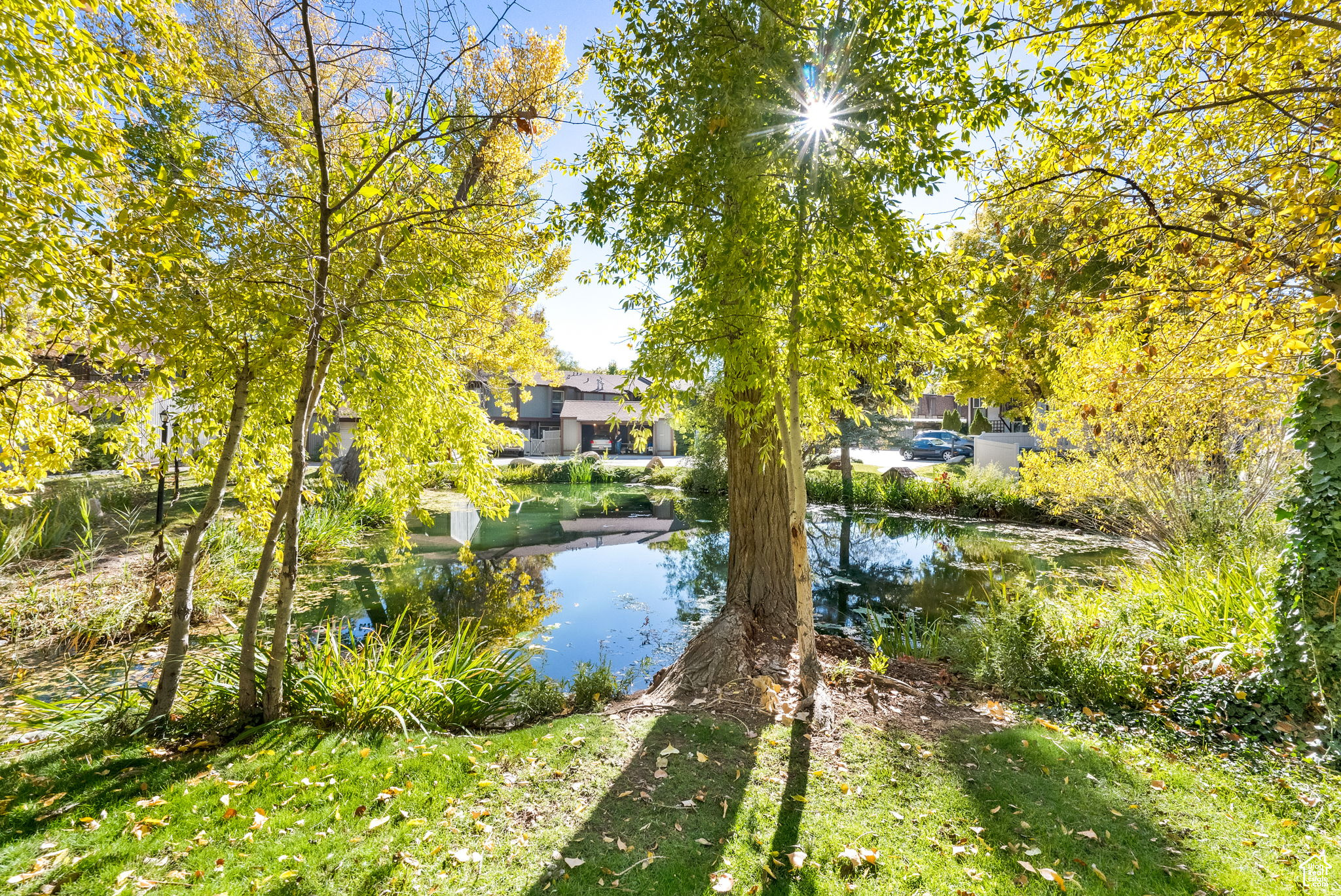 THE WILLOWS - Residential