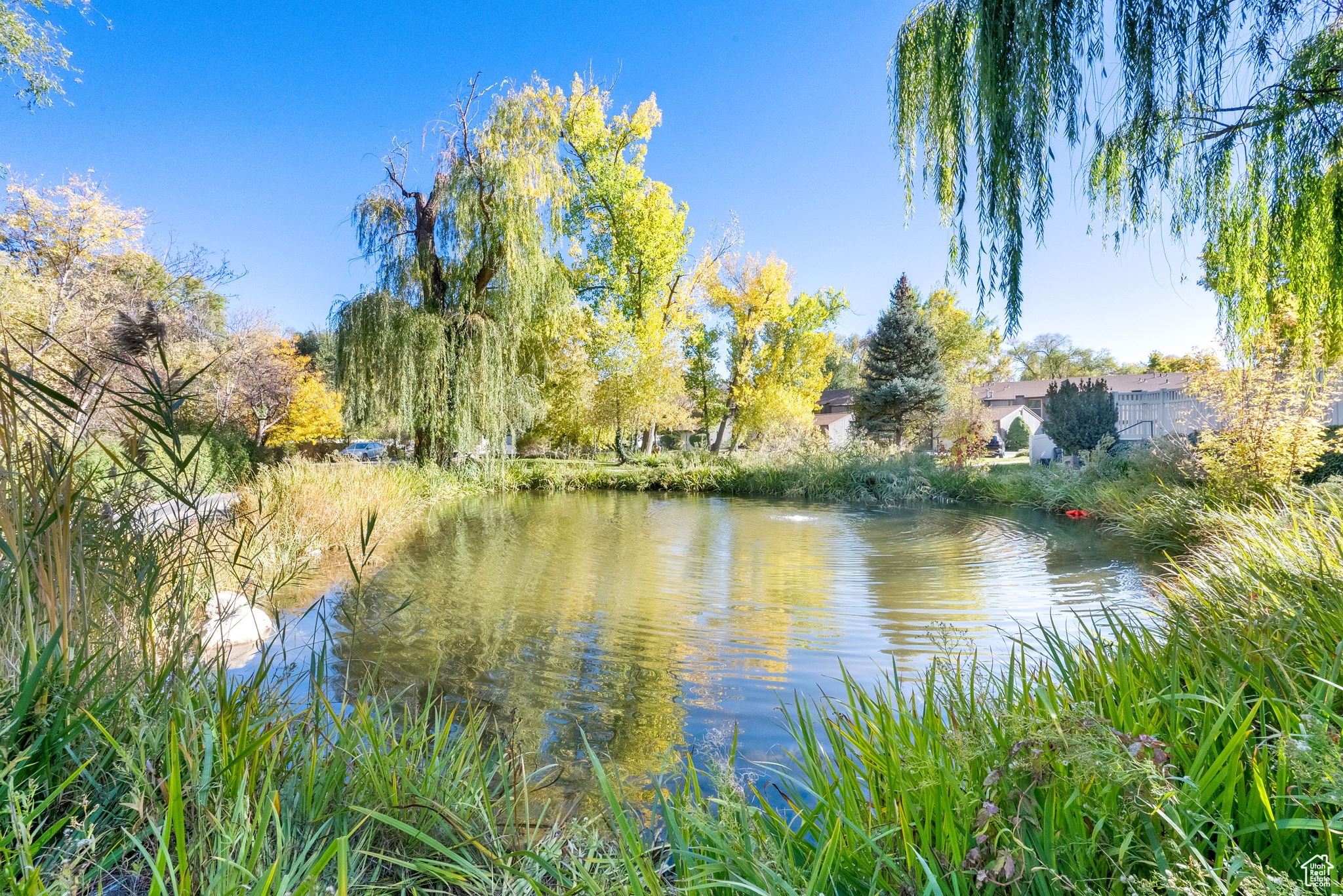 THE WILLOWS - Residential