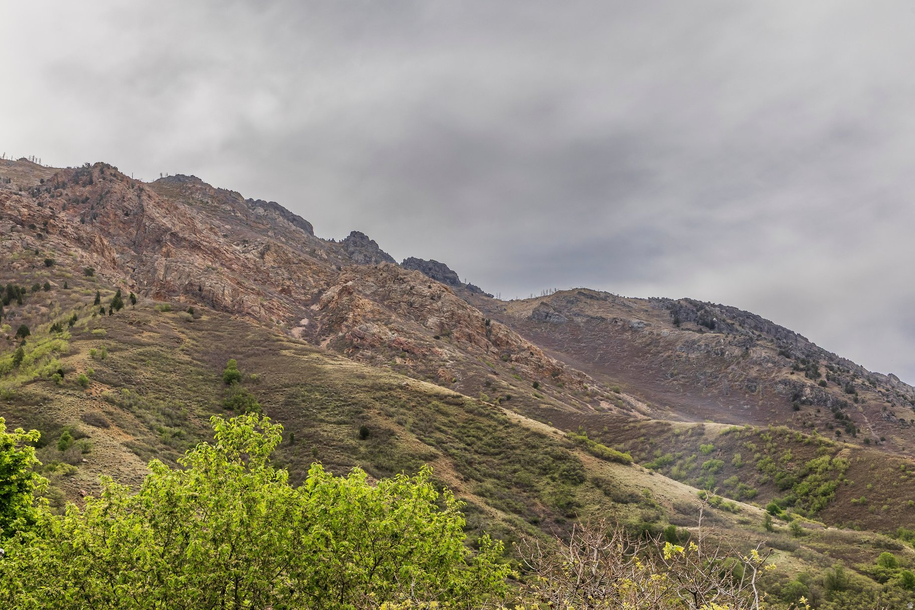 WILLOW CANYON PHASE - Residential