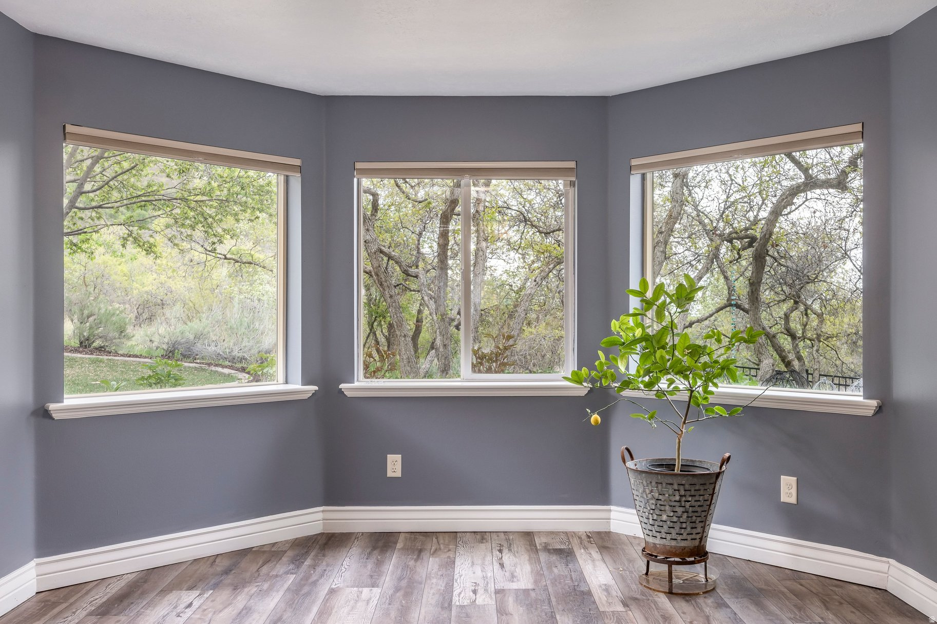 WILLOW CANYON PHASE - Residential