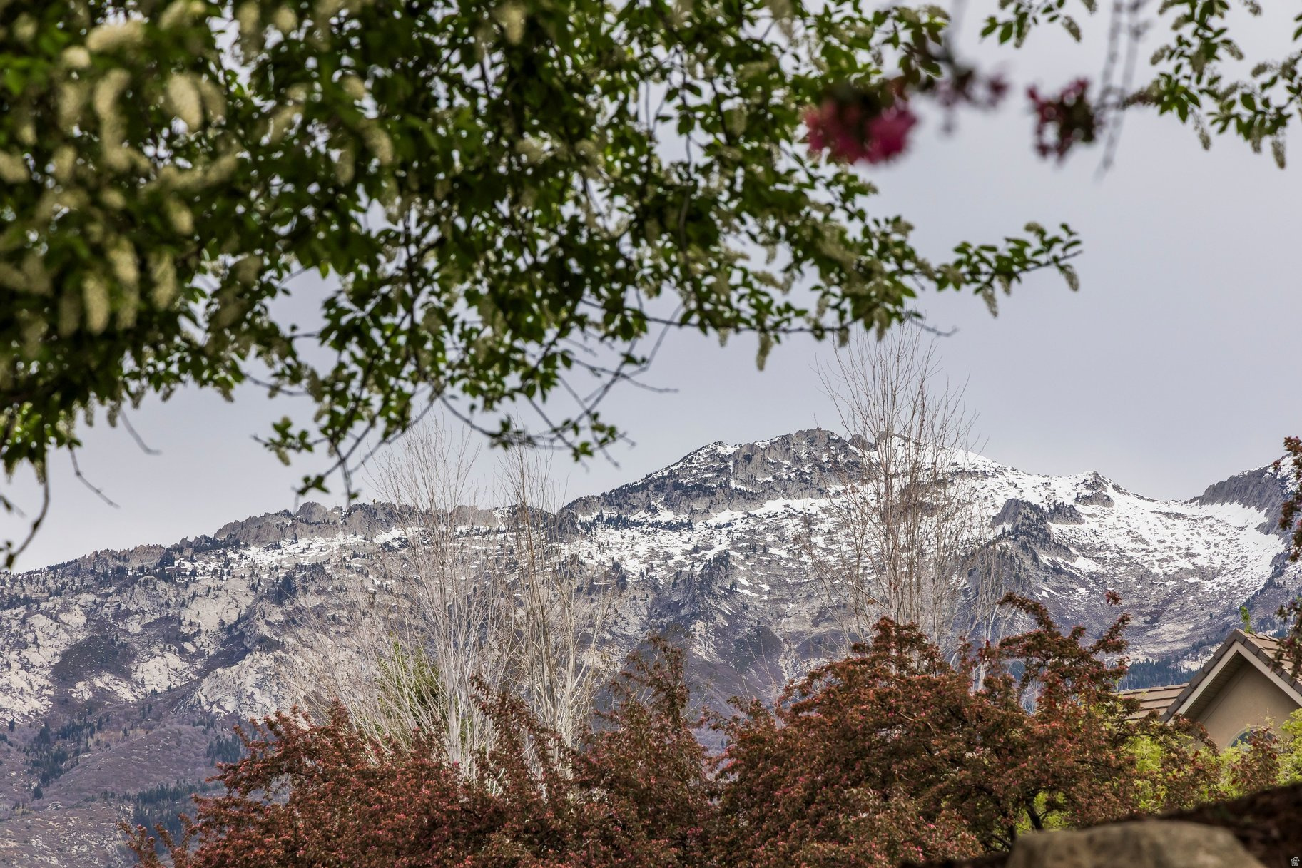 WILLOW CANYON PHASE - Residential