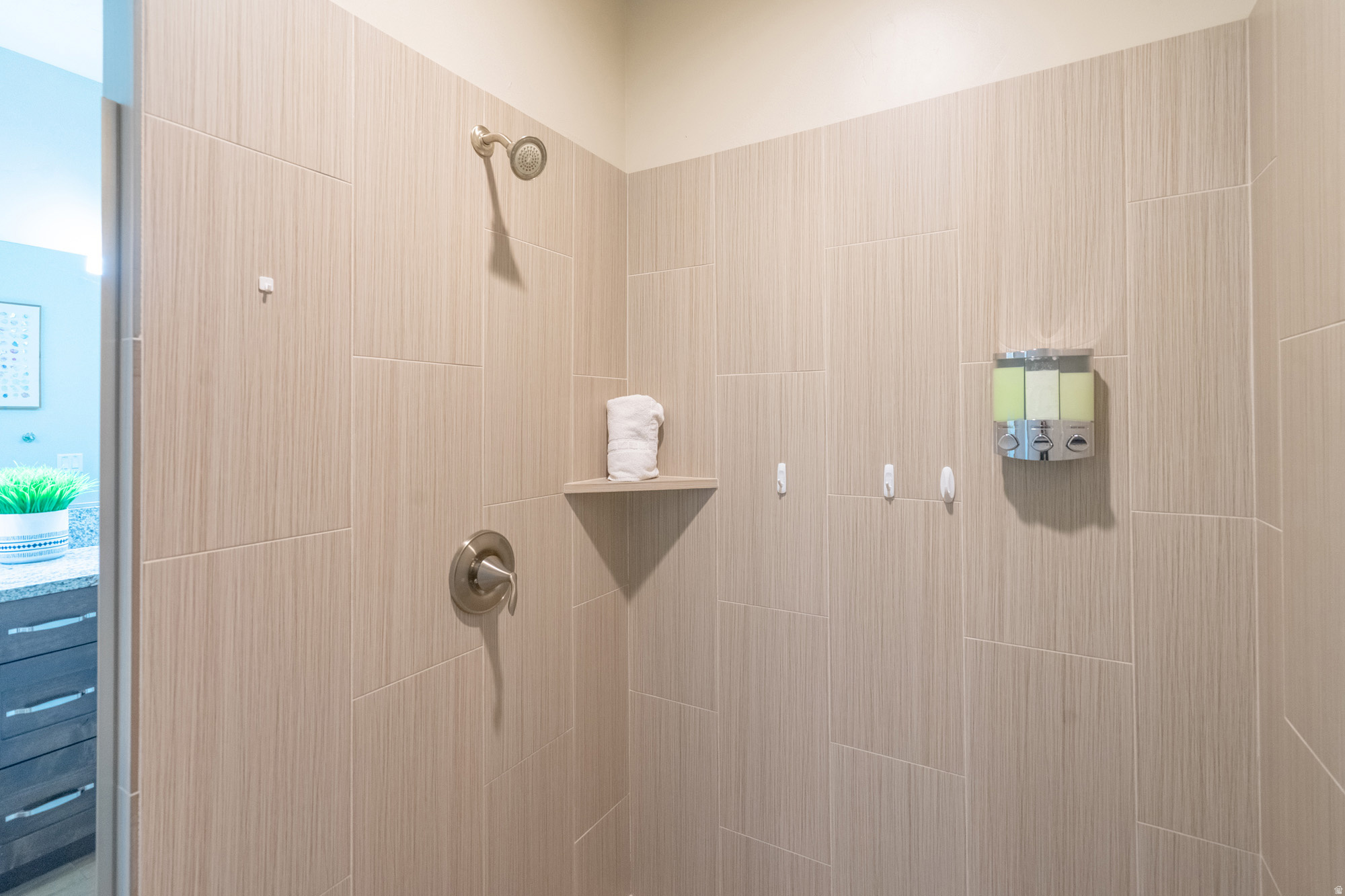 PARADISE VILLAGE AT ZION - Residential