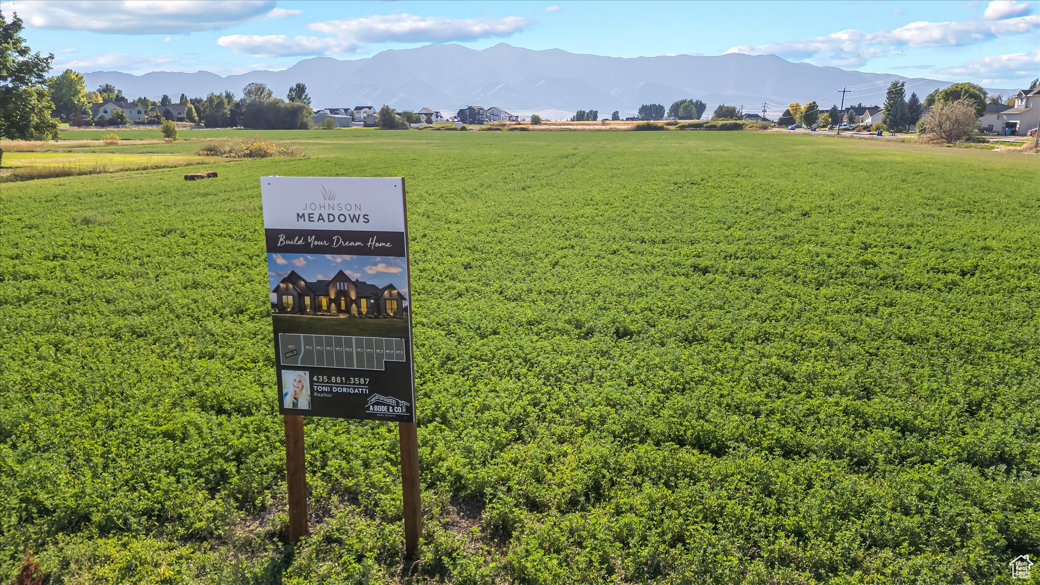 JOHNSON MEADOWS - Land