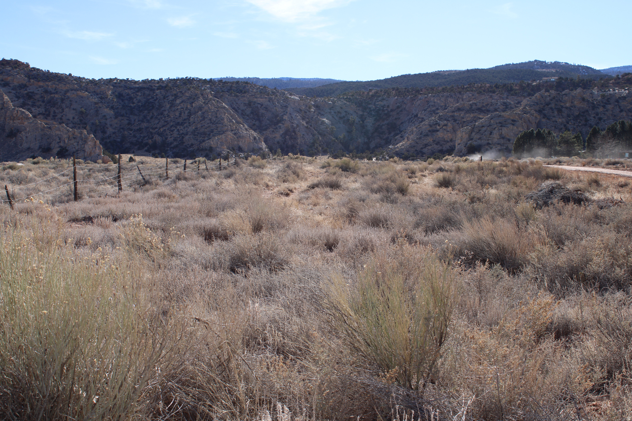 WHITE LEDGE ESTATES - Land