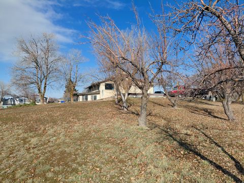 Tiny photo for 3090 N HWY 89 HWY, North Ogden, UT 84414 (MLS # 2145885)
