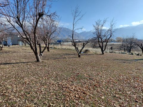 Tiny photo for 3090 N HWY 89 HWY, North Ogden, UT 84414 (MLS # 2145885)