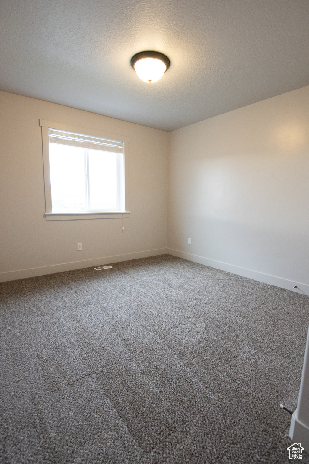 182 W Braeburn Ln, Santaquin, Utah image 36