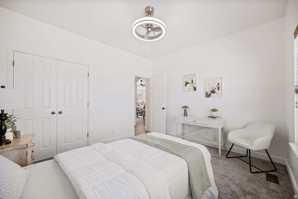 MT AIREY - Residential