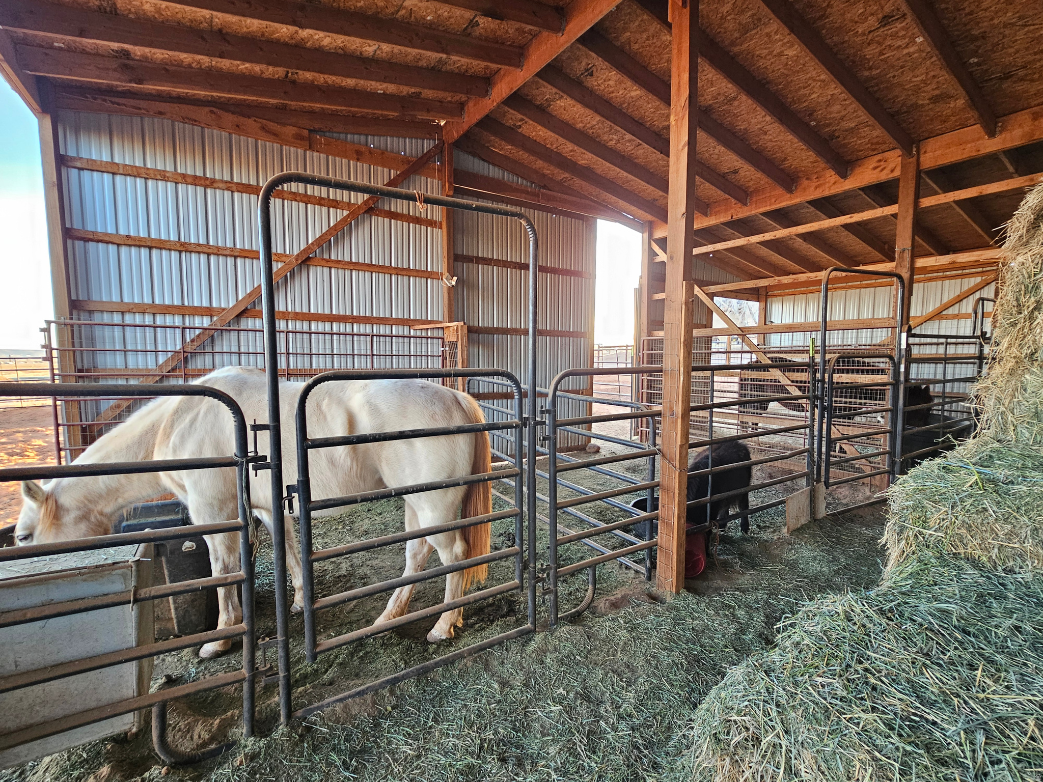 CAROLINE - Residential