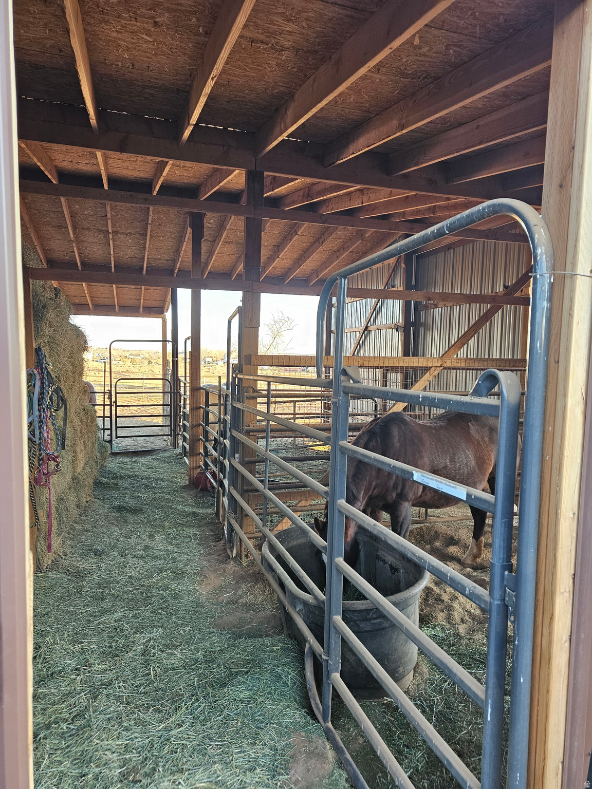 CAROLINE - Residential