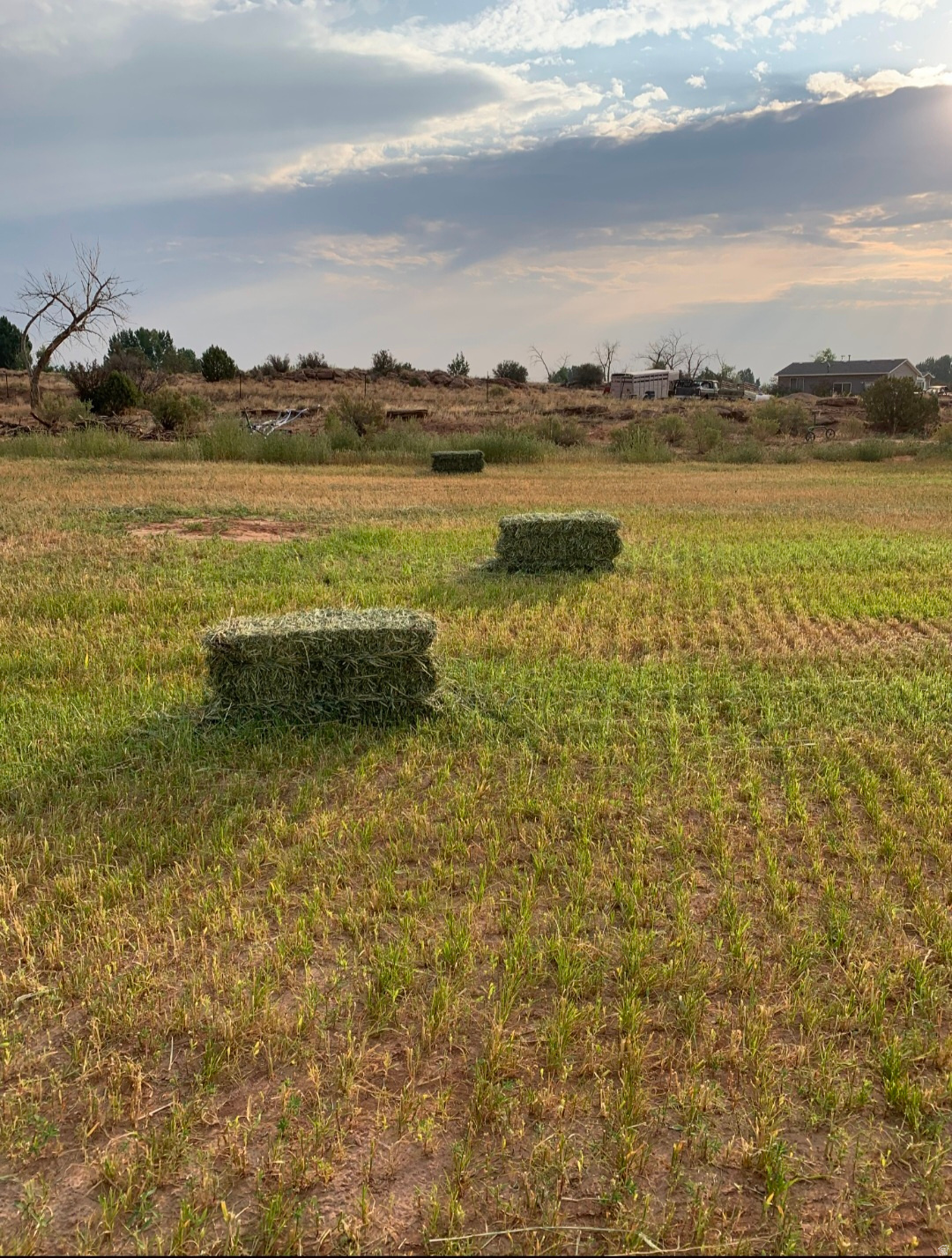 CAROLINE - Residential