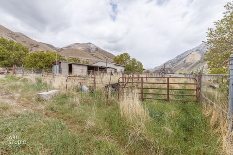 Tiny photo for 2672 E CANYON RD, Springville, UT 84663 (MLS # 2153647)