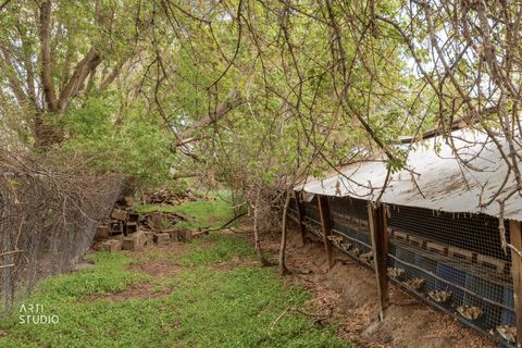 Tiny photo for 2672 E CANYON RD, Springville, UT 84663 (MLS # 2153647)