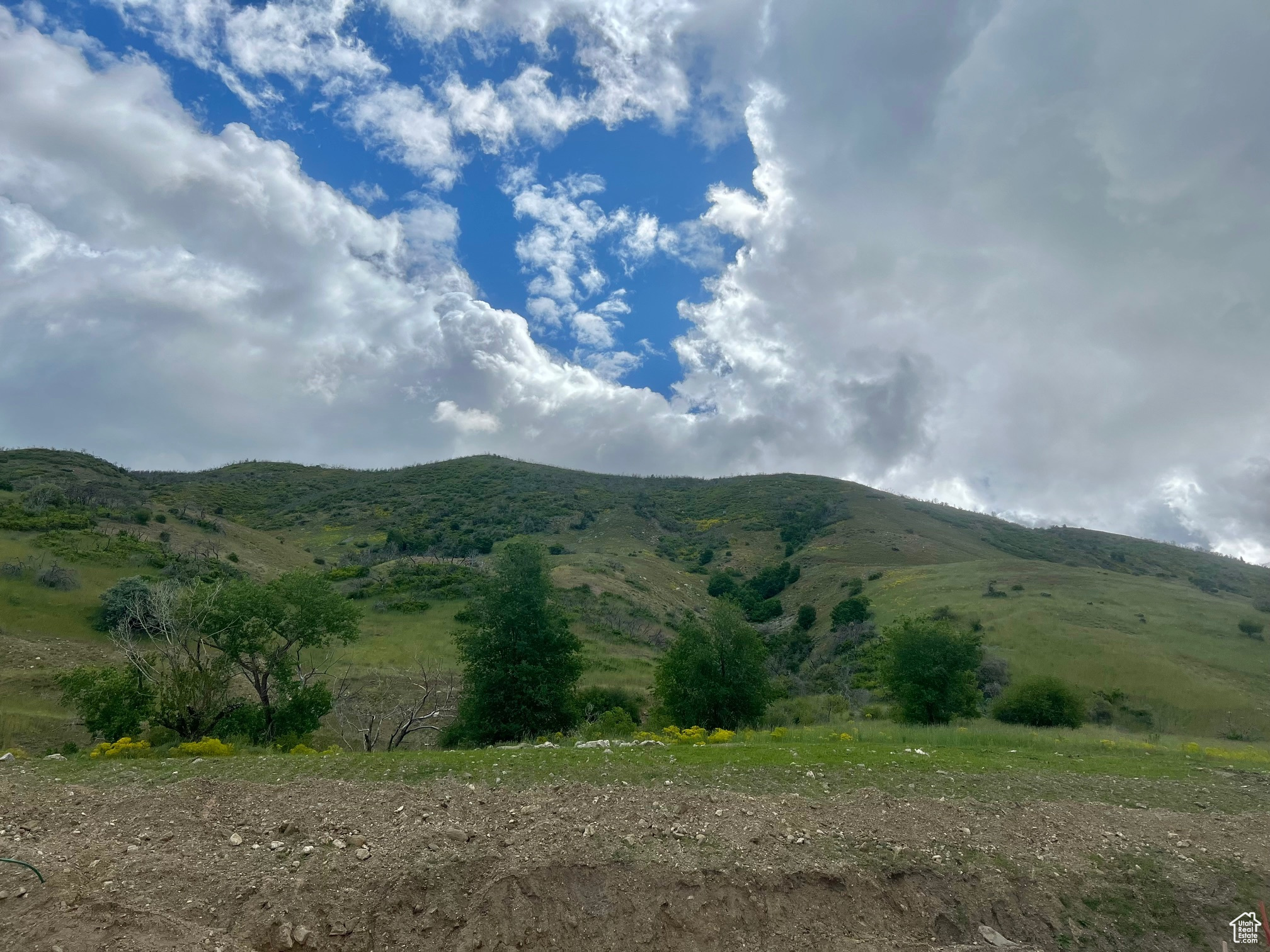 ROCK LOFT RIDGE ESTA - Land