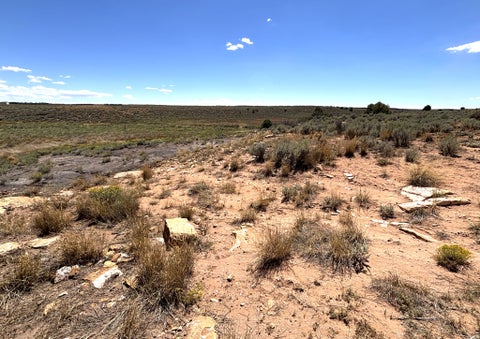 Tiny photo for 1166 E HIGHWAY 491, Monticello, UT 84535 (MLS # 2180876)