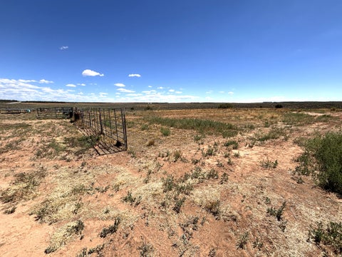 Tiny photo for 1166 E HIGHWAY 491, Monticello, UT 84535 (MLS # 2180876)