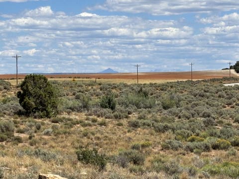 Tiny photo for 1166 E HIGHWAY 491, Monticello, UT 84535 (MLS # 2180876)