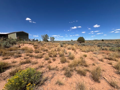 Tiny photo for 1166 E HIGHWAY 491, Monticello, UT 84535 (MLS # 2180876)