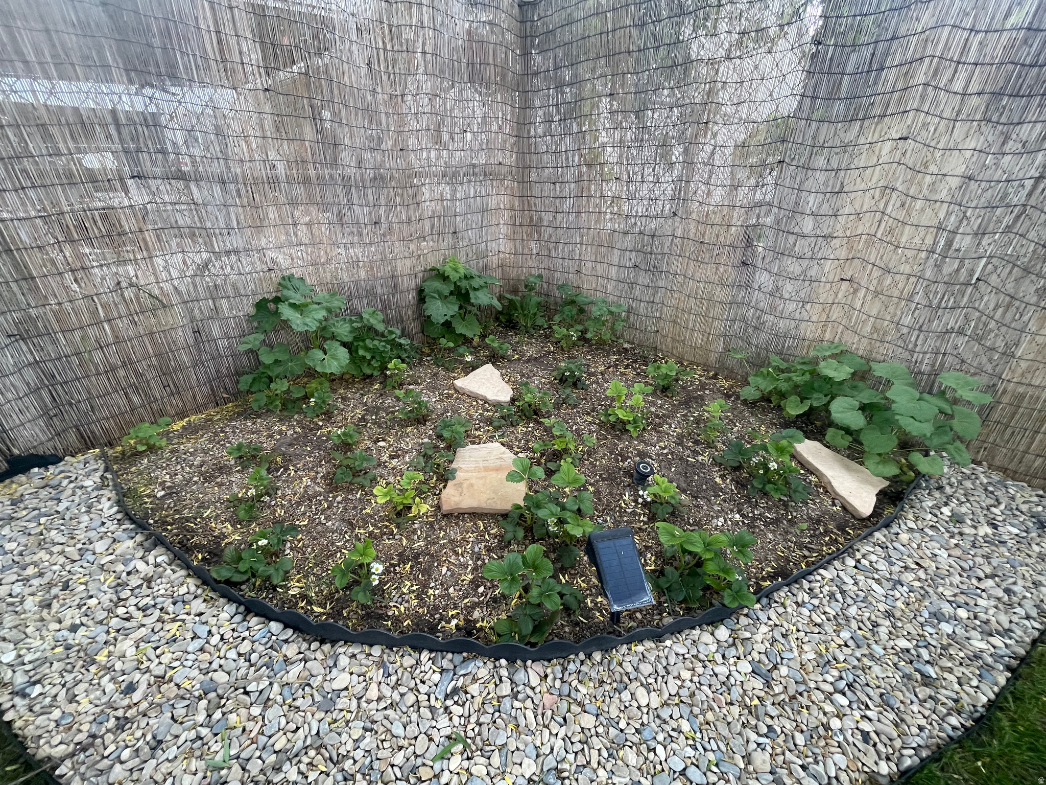 WILLOW BAY - Residential