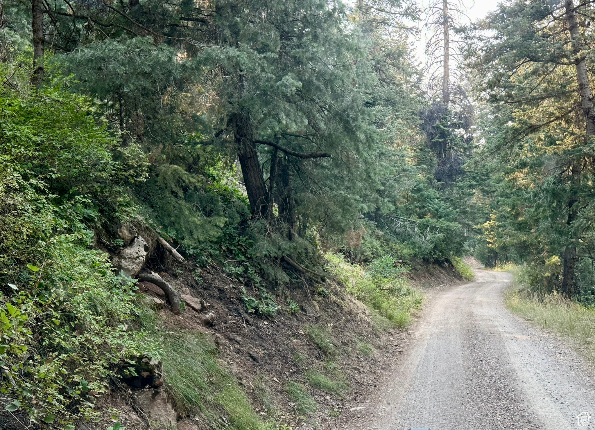 PINE CREEK RANCH - Land