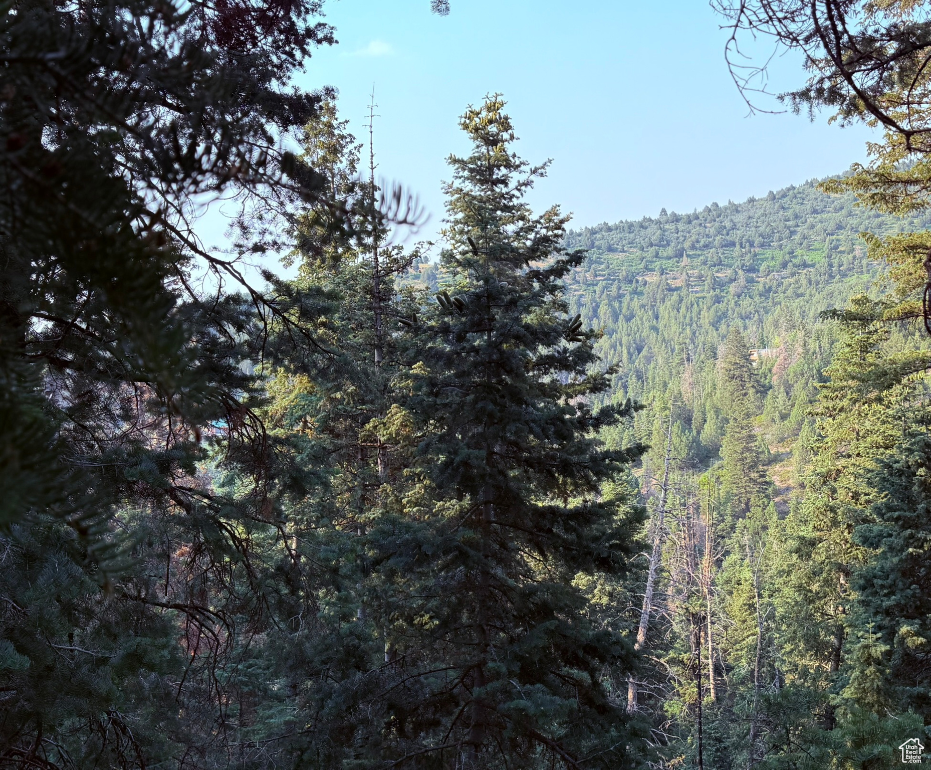 PINE CREEK RANCH - Land