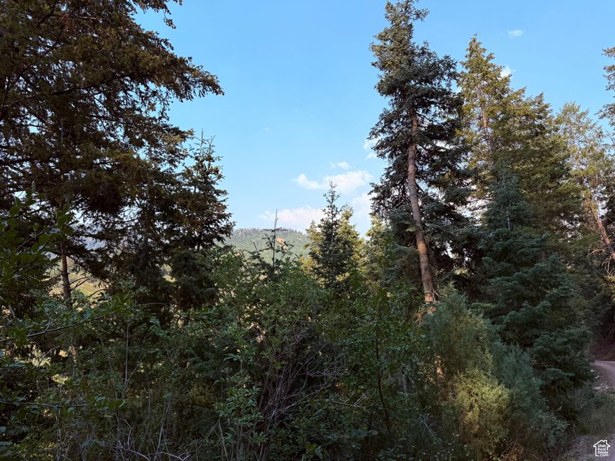 Peaceful mountain relaxation, with huge pine trees covering the lot! You'll hear creek water running nearby. Power and culinary water are available at the property, along with views in the Manti-La Sal mountains, in a gated community. You would install propane for gas, a septic system for sewer, and broadband wireless from Centra-Com. Enjoy the deer and turkeys as you relax in the fresh clean mountain air with star filled nights. This cabin community hosts many extras like: 70-acre common area, pavilion for large gatherings, garbage dumpsters, campsites, sand volleyball court, horseshoe pits, groomed roads in the wintertime for access with your snowmobile or ATV from a secure parking lot, behind the gate, street lights and it's plowed in the wintertime. Mt Pleasant is about 10 minutes away with a hospital, grocery and hardware store, indoor swimming pool and even a drive-in theater. About an hour from Utah County. The road is paved to the Pine Creek Ranch main gate. Winter access to the is via ATV on tracks or snowmobile. Trailers, Campers and RV's are limited to 2 weeks at a time. Additional land available for sale on 2 sides of this lot, for potentially 3.5 acres. Elevation is 7,500. Buyer to verify all information.