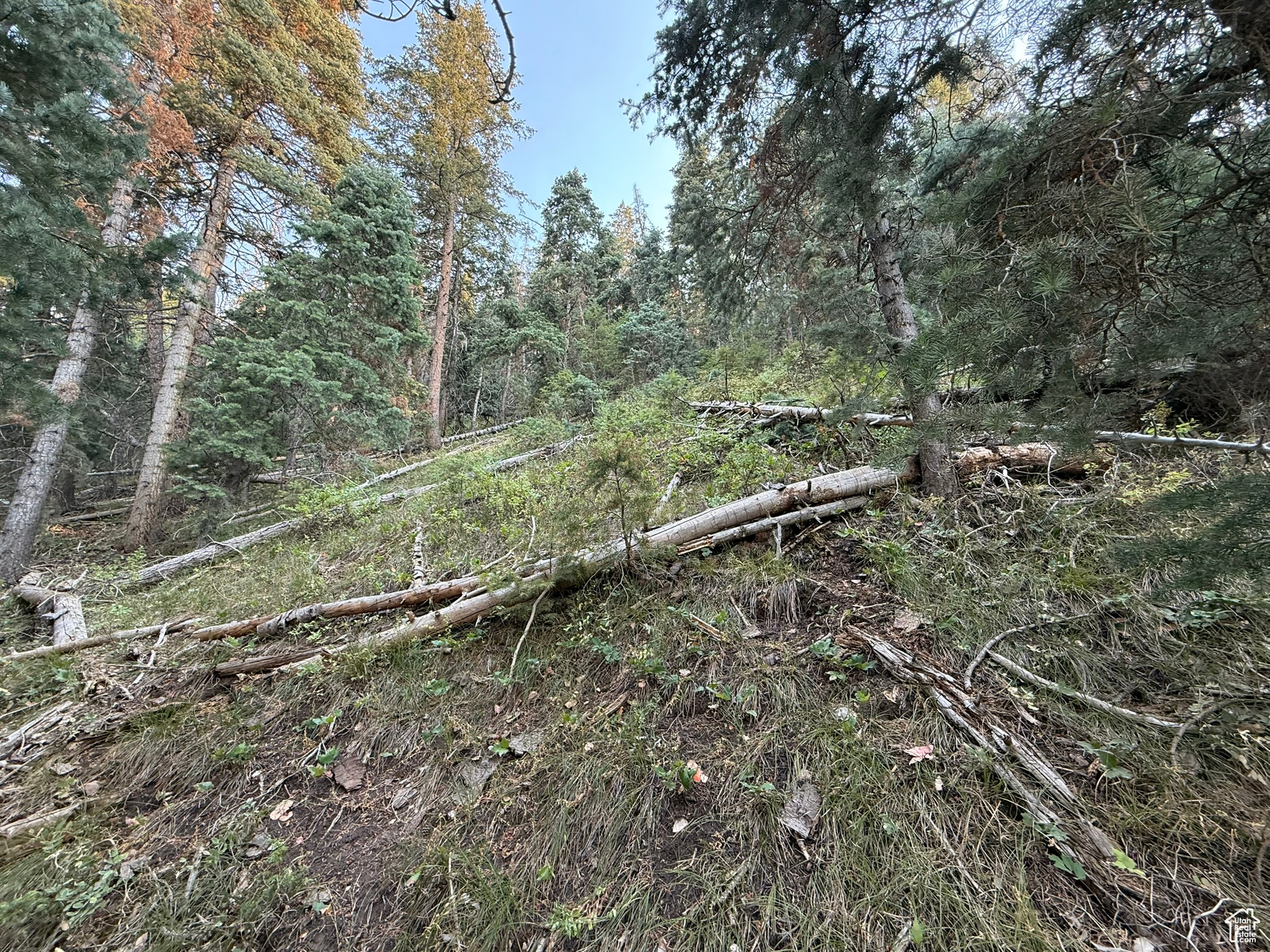 PINE CREEK RANCH - Land