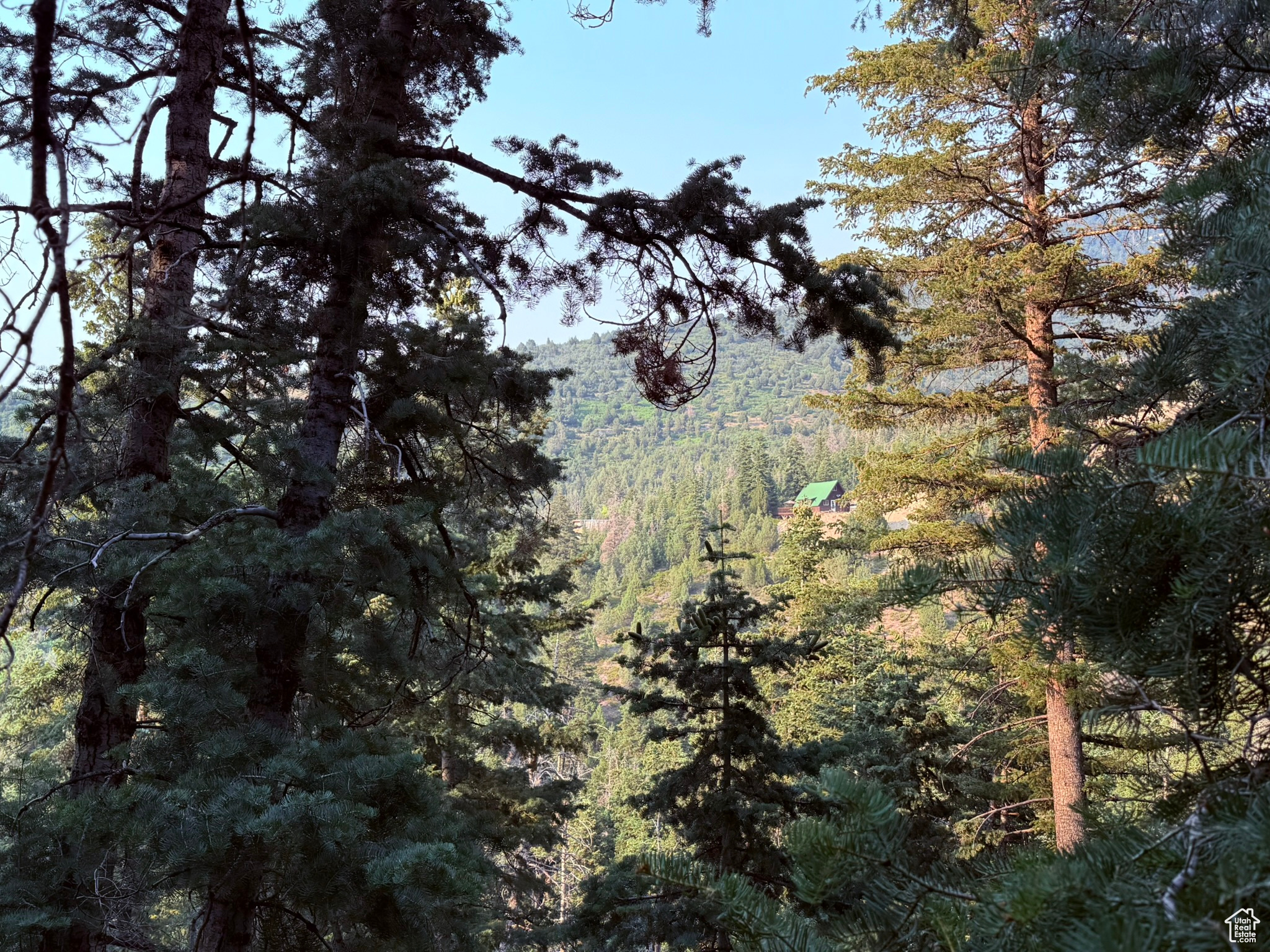 PINE CREEK RANCH - Land