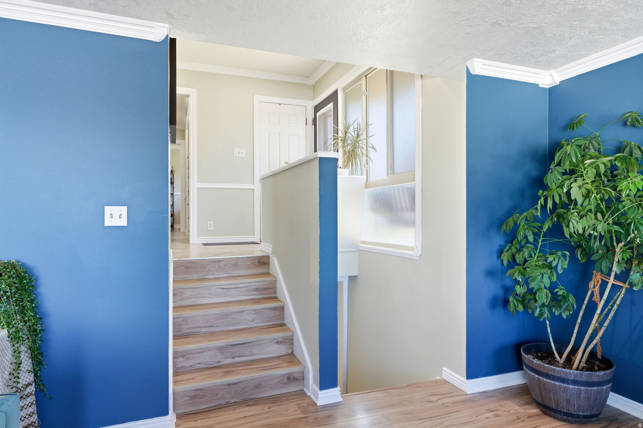 FOREST PARK - Residential