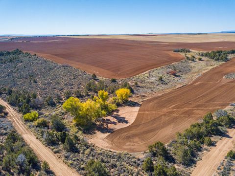 Tiny photo for Monticello, UT 84535 (MLS # 2123504)