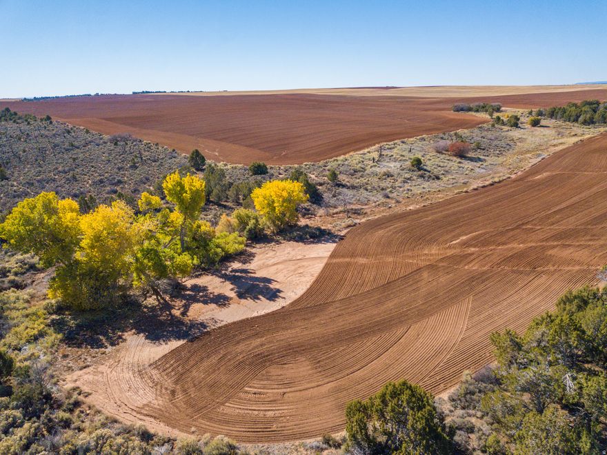 Escape to 320 acres of spectacular, income-producing land in the quiet Eastland community, perfectly nestled between Monticello and Dove Creek. This expansive property offers the ideal blend of farming income, vast recreational opportunities, and a truly magnificent setting for your future home. The majority of the acreage is currently dry farmed in a wheat/safflower rotation, providing a reliable crop share income that helps offset ownership costs. Beyond farming, the land is also a part of the Spring Creek/Dodge CWMU, providing a small second stream of income. For a touch of natural beauty, the northeast corner features huge cottonwood trees lining a seasonal stream. Adding to the financial appeal, the property benefits from a greenbelt tax designation, ensuring that property taxes remain low.