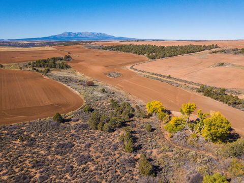 Tiny photo for Monticello, UT 84535 (MLS # 2123504)