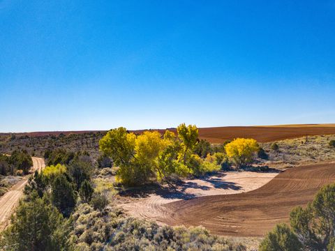 Tiny photo for Monticello, UT 84535 (MLS # 2123504)