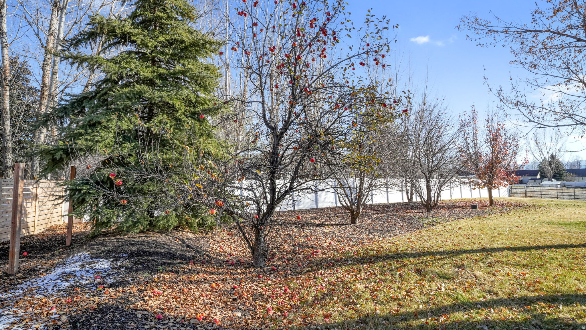 MOUNTAIN VIEW ESTATES - Residential