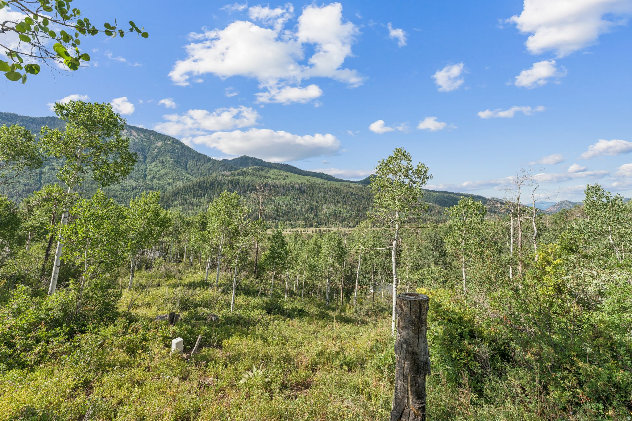 ASPEN ACRES - Residential