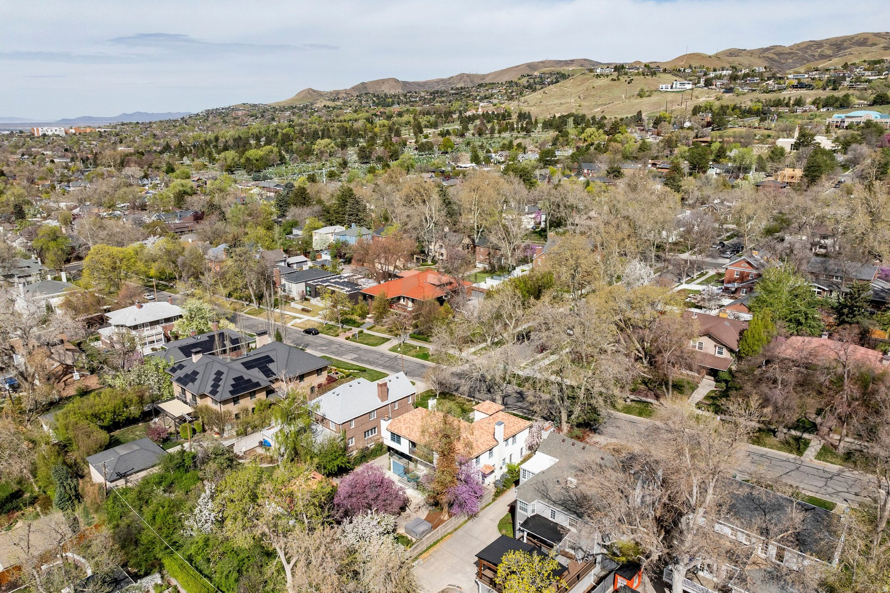 FEDERAL HIGHTS - Residential