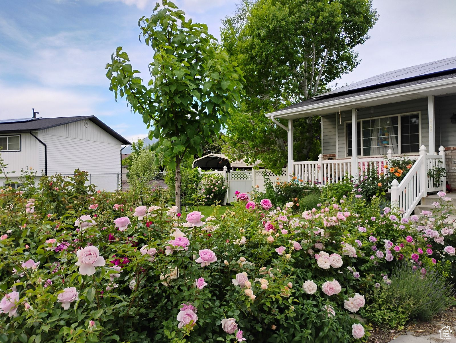 CANYON VIEW HEIGHTS - Residential