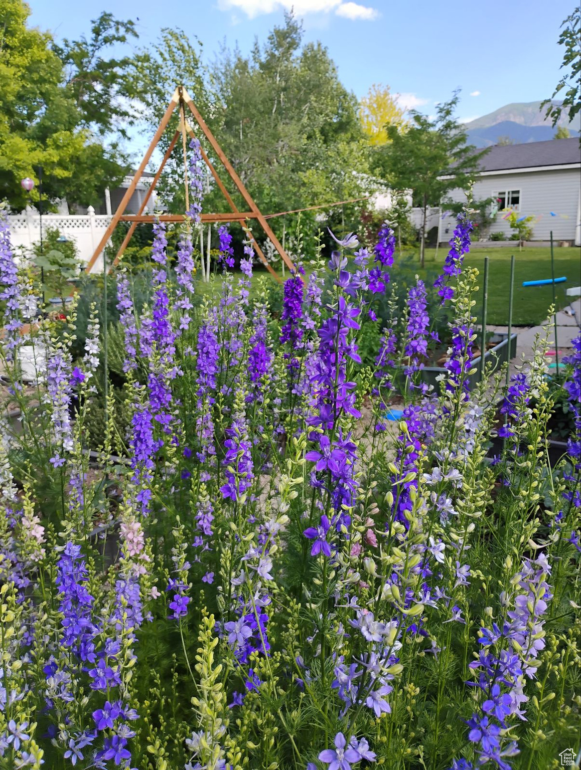 CANYON VIEW HEIGHTS - Residential