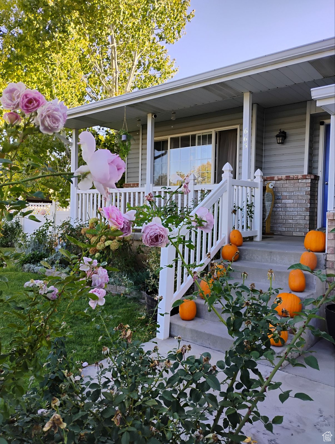 CANYON VIEW HEIGHTS - Residential