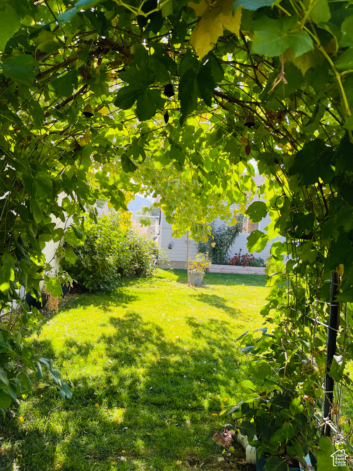 CANYON VIEW HEIGHTS - Residential