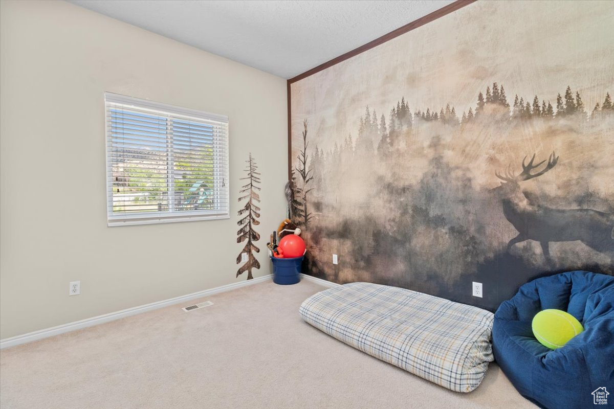231 S 200, Manti, Utah image 15