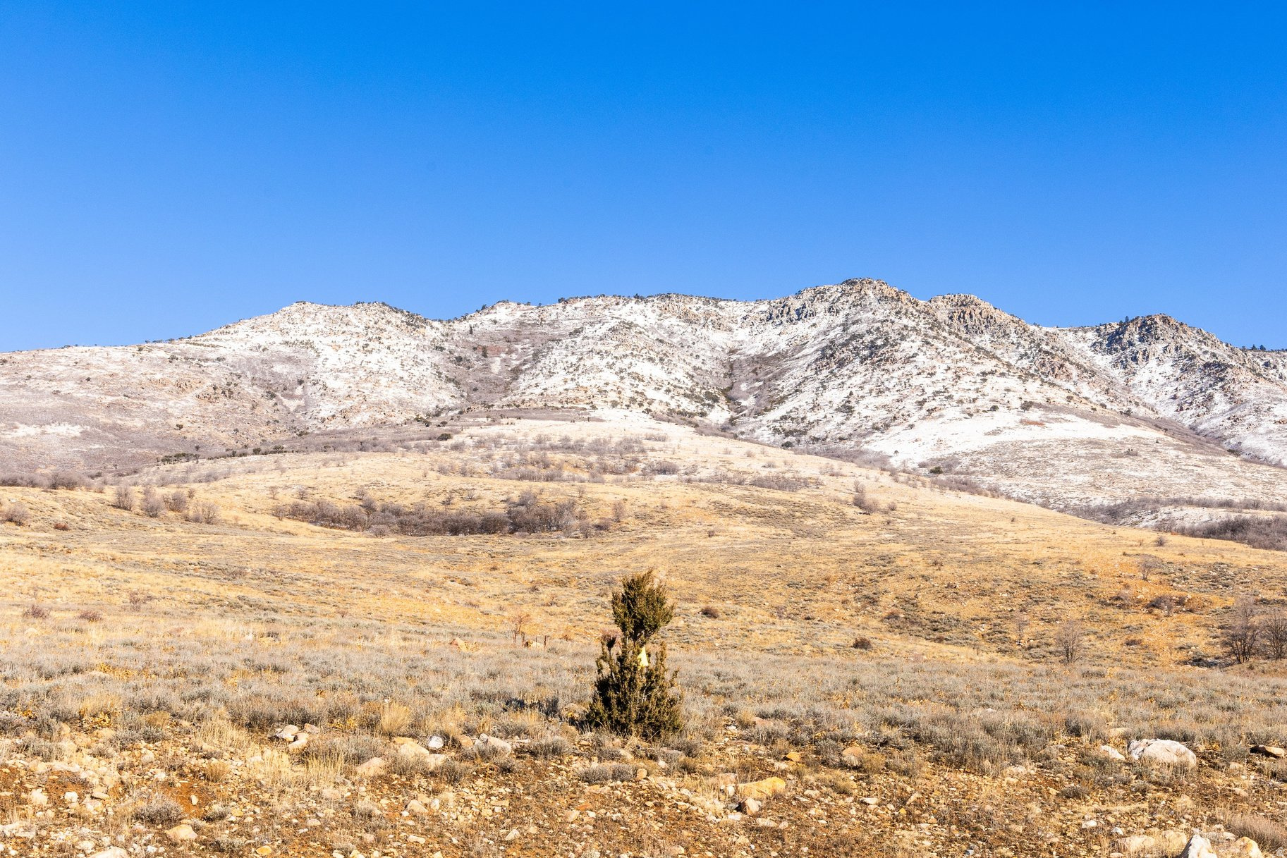 THE HIGHLANDS - Land