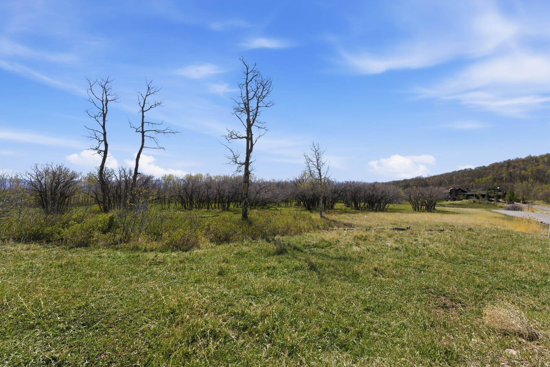 PRESERVE PHASE 3 SUBDIVISION - Land