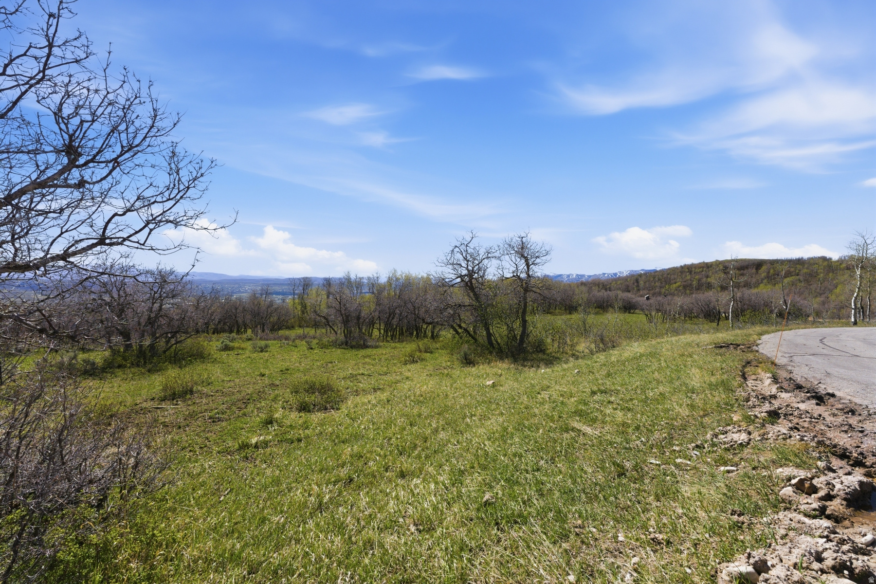 PRESERVE PHASE 3 SUBDIVISION - Land